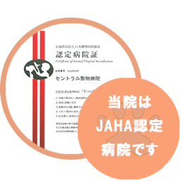 JAHA認定病院